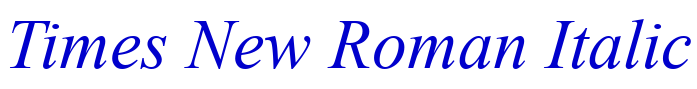 Times New Roman Italic font